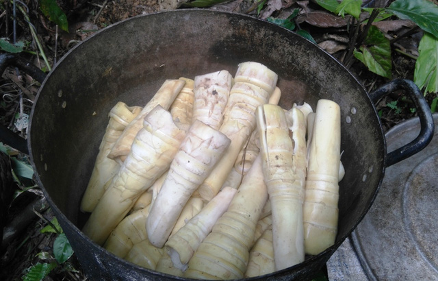 Nồi măng của các nạn nhân còn luộc dở