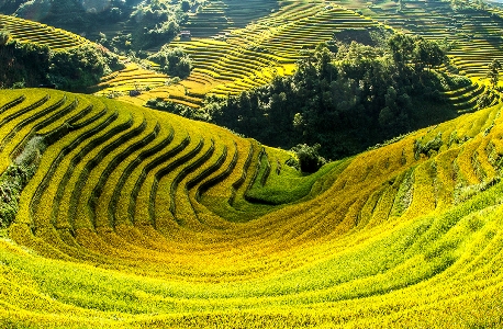 Cùng bay trên mùa vàng Khau Phạ, Mù Cang Chải