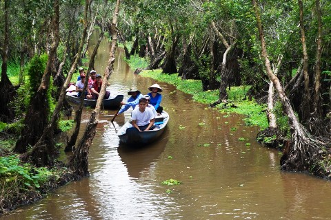Phượt rừng tràm Trà Sư mùa không lũ