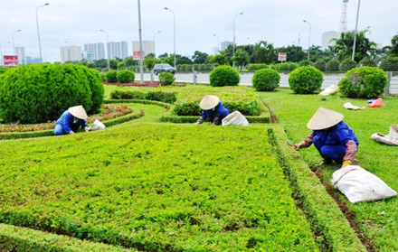 Hà Nội sẽ lại tiếp tục cắt tỉa cỏ