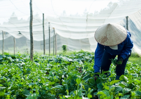 Nơi nuôi dưỡng và cung cấp nguồn thực phẩm xanh, sạch