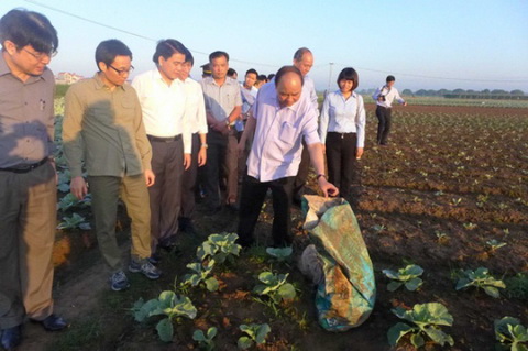 Thủ tướng