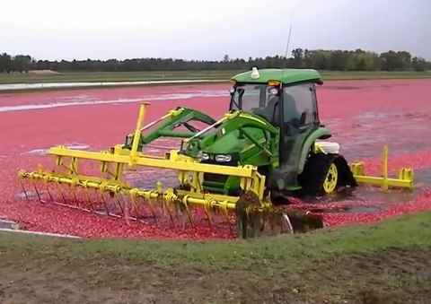 Cuộc thi Nông dân với CNTT: Hướng tới một nền nông nghiệp thông minh!