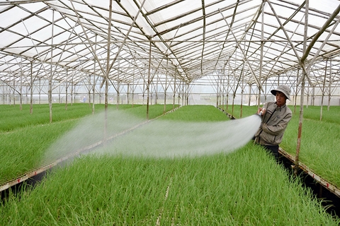 Thủ tướng: Nông thôn mới phải nắm bắt cơ hội từ cách mạng công nghệ