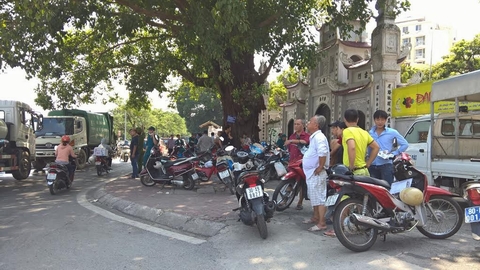 cá chết