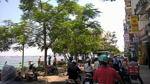 cá chết