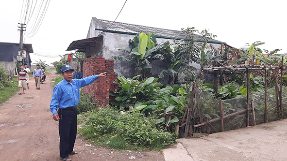 Đất nông nghiệp bị biến thành nhà ở xã Thụy Lâm
