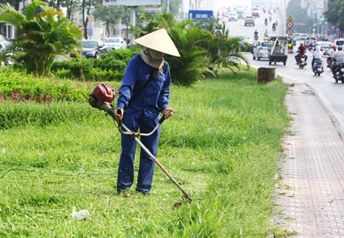 Hà Nội cắt cỏ trở lại sau 3 tháng tạm dừng