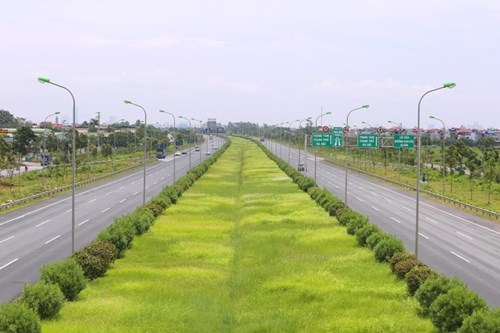 Từ tháng 10, thành phố triển khai lại việc cắt cỏ, tỉa cây theo yêu cầu mới.