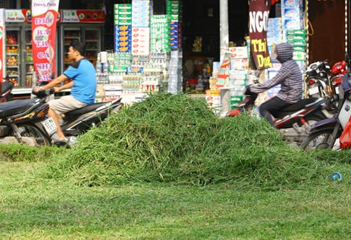 Trước đó tại buổi làm việc sáng 26/9, Bộ trưởng, Chủ nhiệm Văn phòng Chính phủ Mai Tiến Dũng truyền đạt ý kiến Thủ tướng về việc