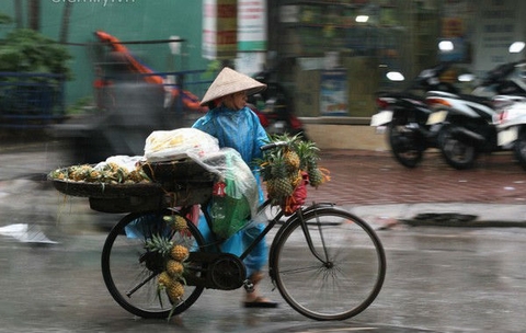 Bắc bộ sắp chuyển mưa rào, nhiệt độ hạ thấp