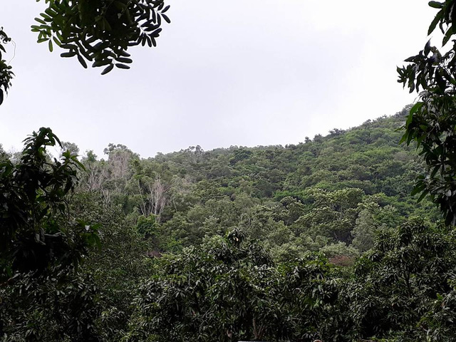 Mở đường đưa thi thể 3 phi công xuống núi