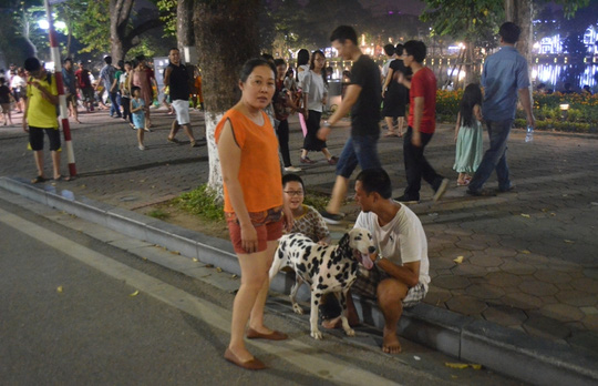 Cấm chó không rọ mõm vào phố đi bộ quanh Hồ Gươm