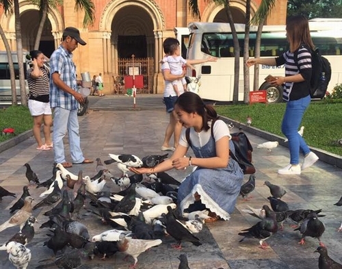 Góc bình yên giữa thành phố hoa lệ