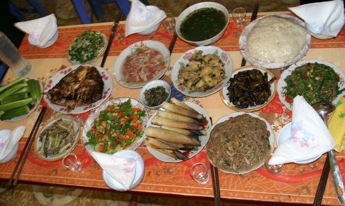 Ảnh minh họa từ internet.