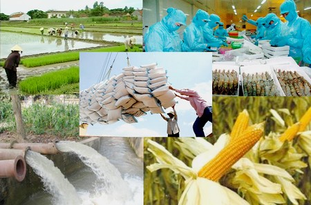 Huy động 1 triệu tỷ đồng cho nông nghiệp