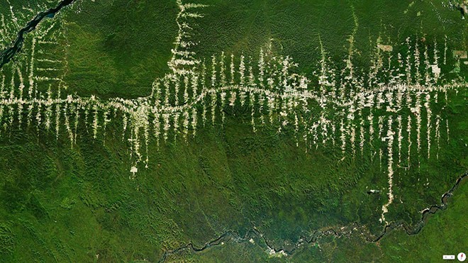 Rừng rậm Amazon đang bị tàn phá tại Para, Brazil.