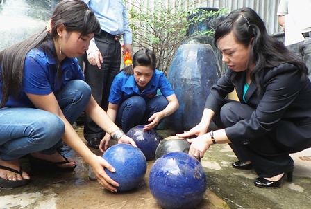 Nguy cơ bùng phát bệnh lớn liên quan đến vi rút Zika
