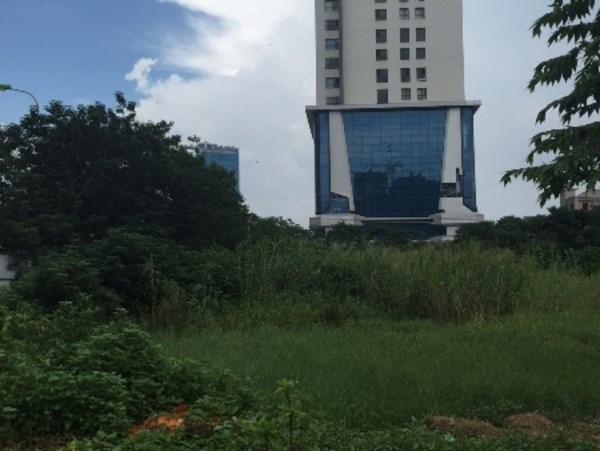 Phía bên trong dự án, cỏ mọc hoang tàn