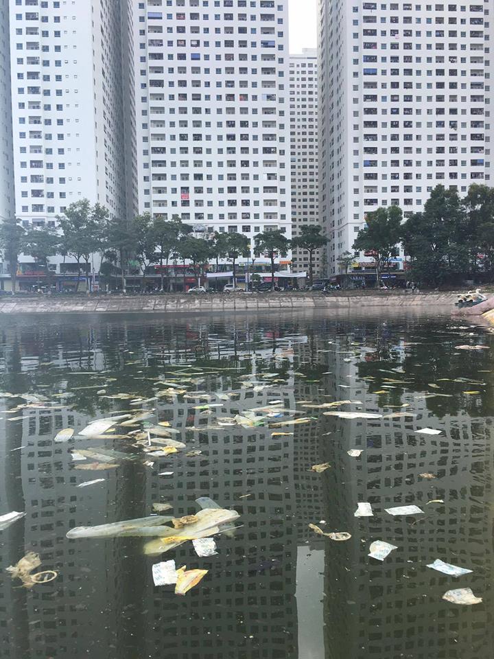 Bao cao su và băng vệ sinh nổi trên mặt hồ sáng nay