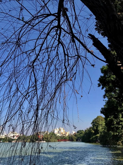 Hà Nội những ngày cuối thu đầu đông. Ảnh: An Khanh.