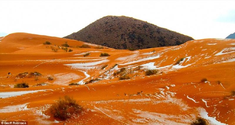 Tuy vậy, nhiều nhà khoa học dự báo sa mạc Sahara sẽ trở nên