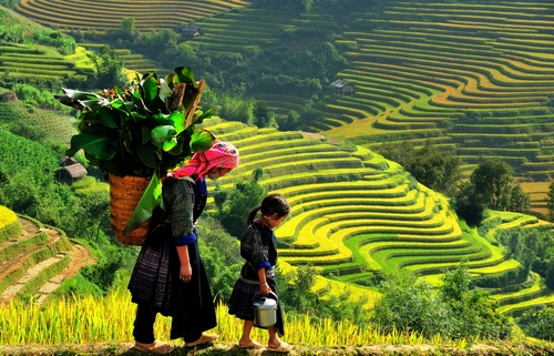 Quý I/2017: Du lịch Tây Bắc bằng tàu hỏa chất lượng cao