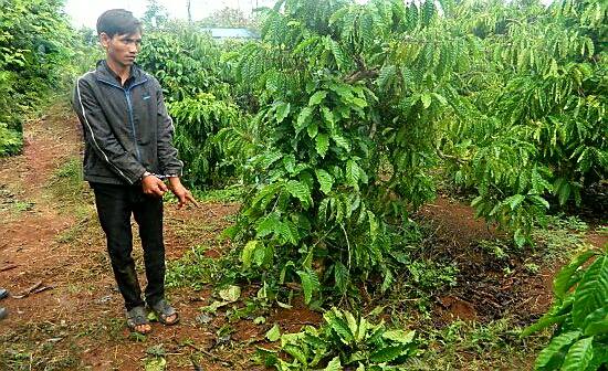 Đắk Lắk: Bắt khẩn cấp nghi phạm cưỡng bức chị dâu trong đêm