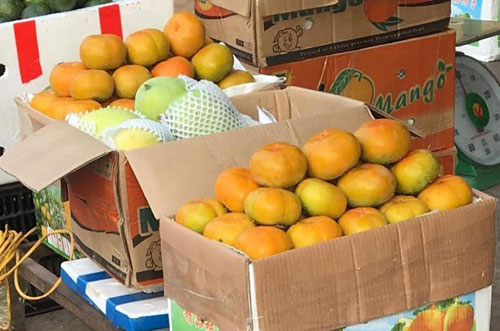 Nho Trung Quốc nhập về Việt Nam có hai loại: nho đỏ và nho xanh. Các loại nho này rất hay bị tiểu thương các chợ nhập nhèm là nho Ninh Thuận
