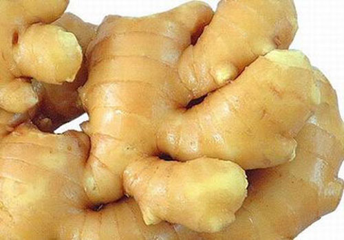 Gừng Trung Quốc cũng bóng đẹp