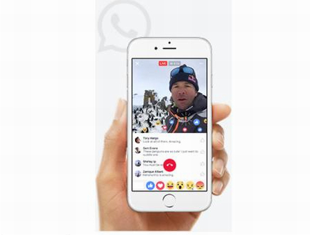 Ứng dụng hay trên Facebook, Instagram và WhatsApp dành cho dịp cuối năm