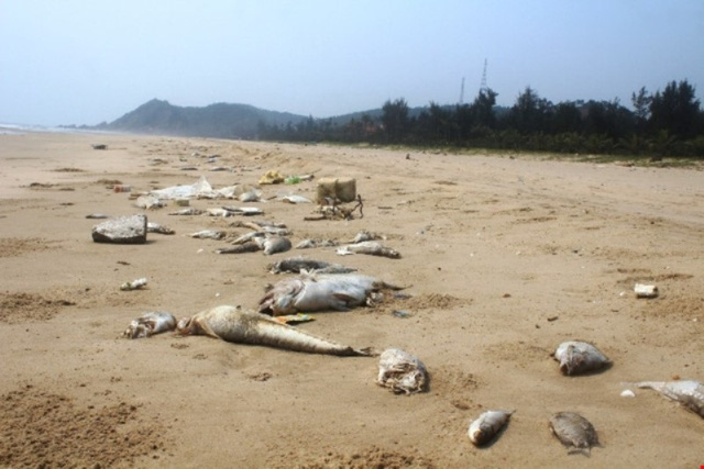 tiến