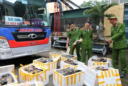 Bắt giữ xe chở hơn 1 tấn chân, đuôi trâu bò bốc mùi hôi thối