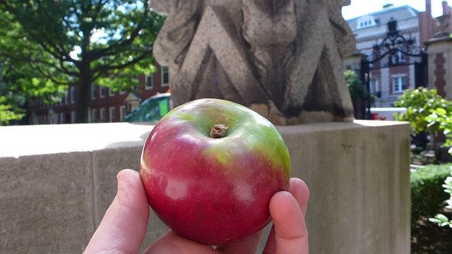 14 dieu toi te khi lam viec tai Apple hinh anh 1