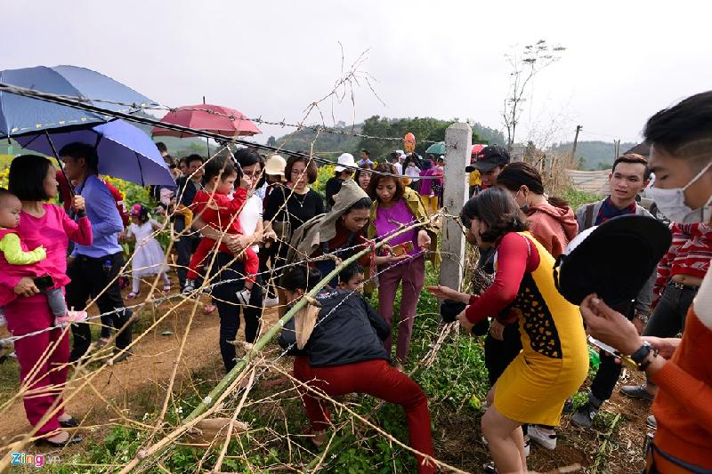 Một số người không di chuyển ra vào cổng chính để vào cánh đồng mà phá rào bằng dây thép gai và các thanh tre do ban tổ chức dựng.