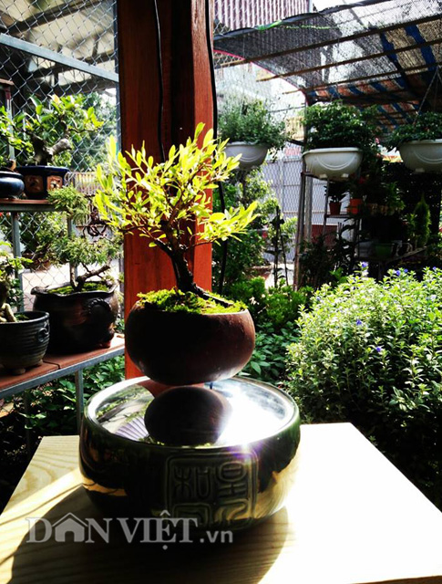 Anh Nguyễn Trọng Huy, một thành viên trong nhóm Air bonsai - nhóm đưa 