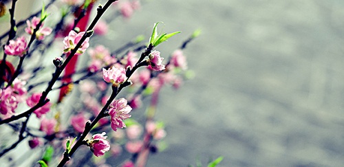 Mách bạn những điểm vui tất niên tiễn Khỉ đón Gà tuyệt vời