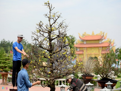 Nhà thờ Tổ của Hoài Linh được trang trí đón Tết Đinh Dậu