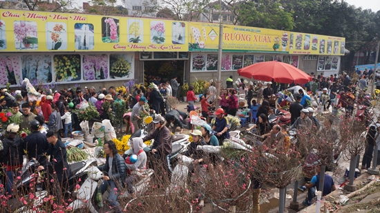 hoa Quang Ba