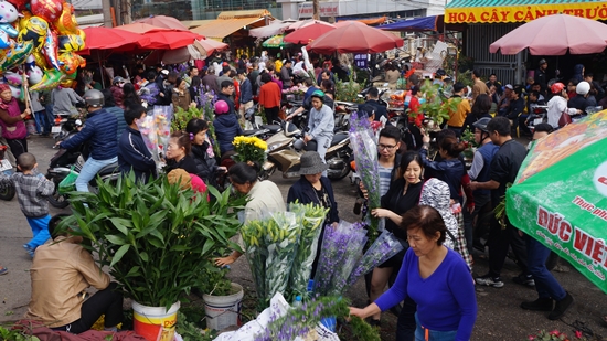 hoa Quảng Bá