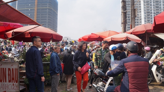 hoa Quảng Bá