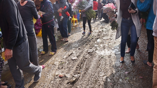 hoa Quảng Bá