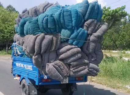 Phạt đến 10 triệu đồng