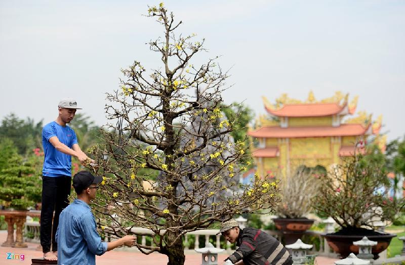 Nhà thờ Tổ của Hoài Linh được trang trí đón Tết Đinh Dậu hình ảnh 7 Nha tho To cua Hoai Linh duoc trang tri don Tet Dinh Dau hinh anh 7