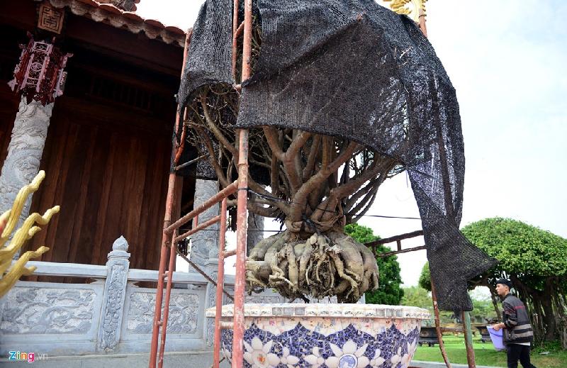Nhà thờ Tổ của Hoài Linh được trang trí đón Tết Đinh Dậu hình ảnh 10 Nha tho To cua Hoai Linh duoc trang tri don Tet Dinh Dau hinh anh 10