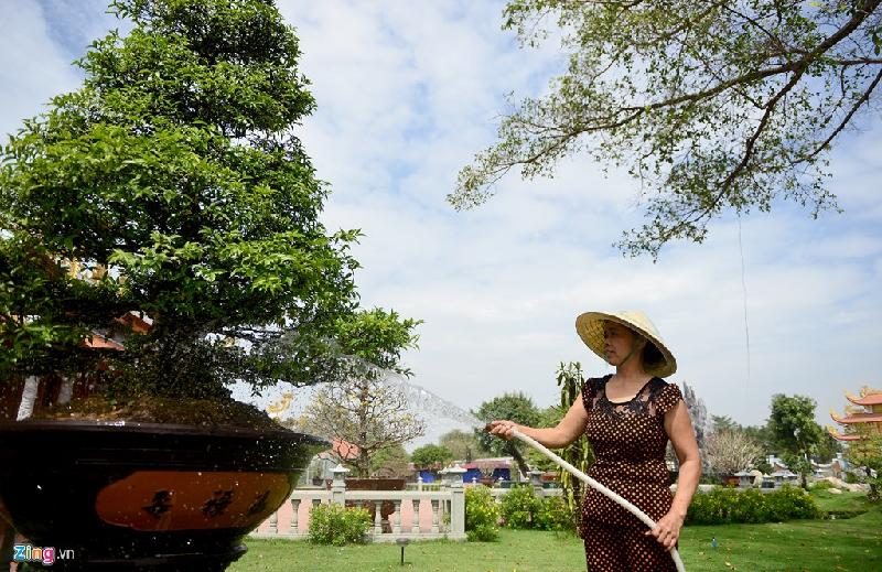 Nhà thờ Tổ của Hoài Linh được trang trí đón Tết Đinh Dậu hình ảnh 11 Nha tho To cua Hoai Linh duoc trang tri don Tet Dinh Dau hinh anh 11
