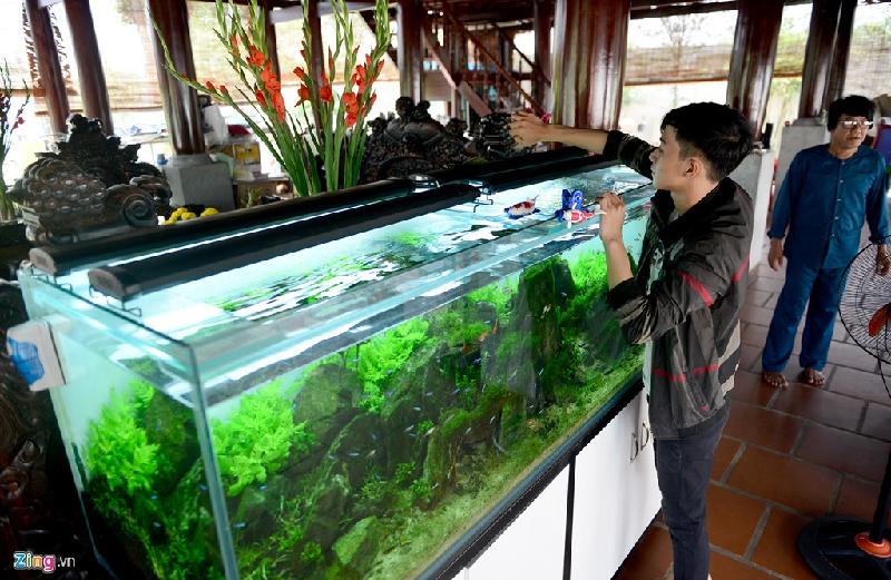 Nhà thờ Tổ của Hoài Linh được trang trí đón Tết Đinh Dậu hình ảnh 14 Nha tho To cua Hoai Linh duoc trang tri don Tet Dinh Dau hinh anh 14