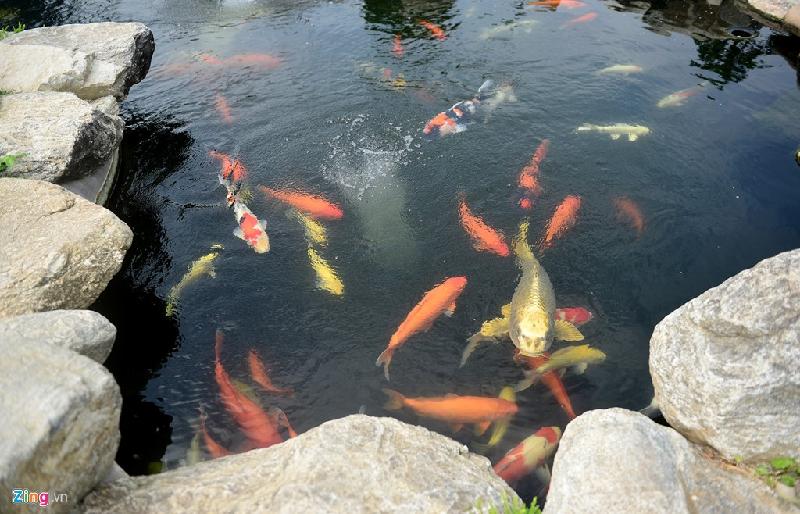 Nhà thờ Tổ của Hoài Linh được trang trí đón Tết Đinh Dậu hình ảnh 17 Nha tho To cua Hoai Linh duoc trang tri don Tet Dinh Dau hinh anh 17