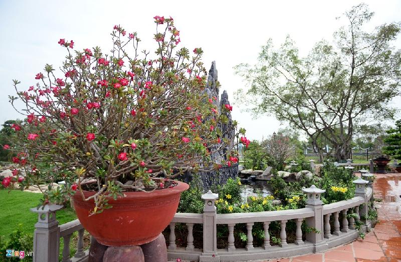 Nhà thờ Tổ của Hoài Linh được trang trí đón Tết Đinh Dậu hình ảnh 19 Nha tho To cua Hoai Linh duoc trang tri don Tet Dinh Dau hinh anh 19