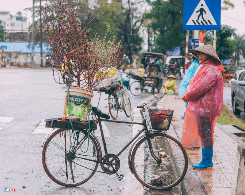 Những cảnh đời mưu sinh trong mưa lạnh hình ảnh 13 Những cành đào đã xuống phố chuẩn bị đón xuân.